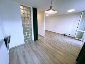 Pronájem bytu 1+kk, Praha - Krč, Murgašova, 42 m2
