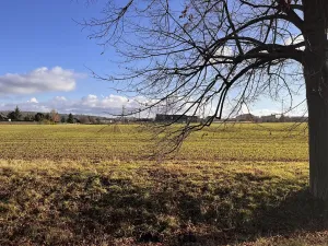 Pronájem rodinného domu, Říčany, K Solné stezce, 155 m2