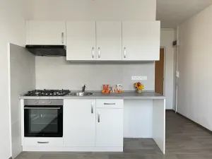 Pronájem bytu 1+1, Litvínov, Rooseveltova, 34 m2