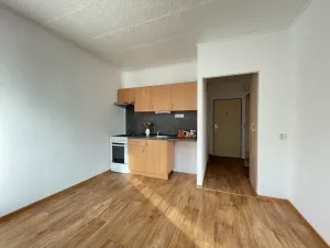 Pronájem bytu 1+1, Litvínov, Čapkova, 37 m2