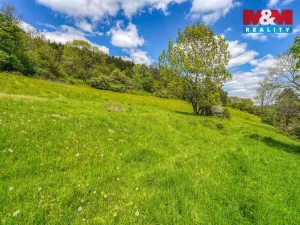 Prodej zahrady, Sušice - Nuzerov, 7751 m2