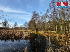 Prodej rybníku, Velká Losenice, 13639 m2