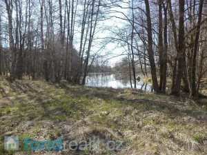 Prodej pozemku, Dolní Pěna, 4291 m2