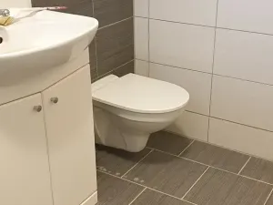 Prodej bytu 3+1, Novosedlice, Drahénská, 60 m2