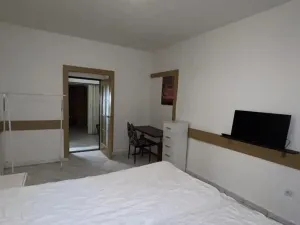 Pronájem bytu 1+1, Praha, 45 m2