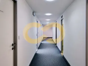 Pronájem kanceláře, Písek, Alšovo nám., 200 m2