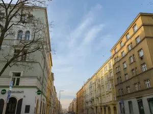 Prodej bytu 2+kk, Praha - Žižkov, 47 m2