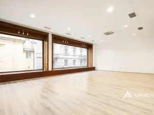 Prodej obchodního prostoru, Brno, Masarykova, 494 m2