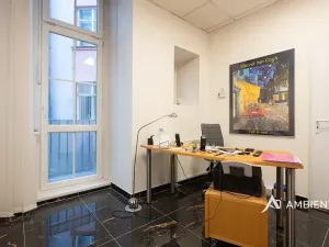 Prodej obchodního prostoru, Brno, Masarykova, 494 m2