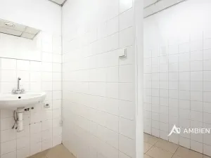 Prodej obchodního prostoru, Brno, Masarykova, 494 m2