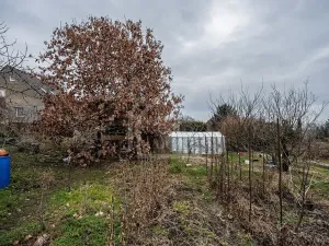 Prodej rodinného domu, Třebusice, 470 m2