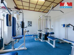 Prodej obchodního prostoru, Aš, Jateční, 121 m2