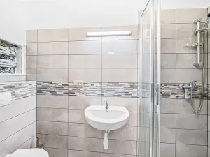 Prodej činžovního domu, Domažlice - Město, Spálená, 312 m2