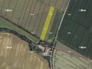 Prodej podílu pole, Přítluky, 5354 m2