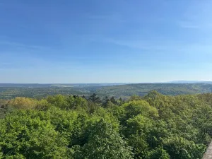 Prodej komerční nemovitosti, Plzeň, 33 m2