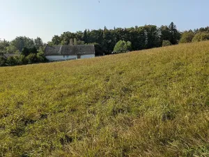 Prodej pozemku pro bydlení, Nové Lublice, 7990 m2