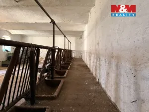 Prodej zemědělské usedlosti, Chrášťany - Doubrava, 91 m2