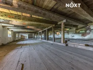 Prodej komerční nemovitosti, Buzice, 1800 m2