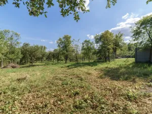 Prodej rodinného domu, Bařice-Velké Těšany - Velké Těšany, 240 m2