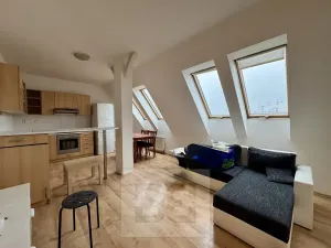 Pronájem bytu 4+kk, Brno, 120 m2