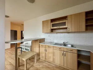 Pronájem bytu 4+kk, Brno, 120 m2