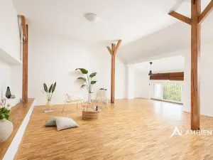 Prodej bytu 6+kk a větší, Brno, Čápkova, 209 m2