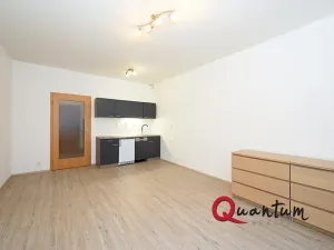 Pronájem bytu 1+kk, Praha - Košíře, Pod Kavalírkou, 30 m2