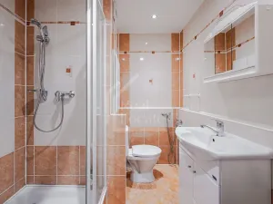 Prodej bytu 1+1, Rokycany, Pod Ohradou, 35 m2