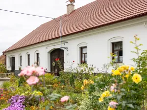 Prodej zemědělské usedlosti, Sklené nad Oslavou, 330 m2