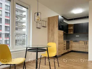 Pronájem bytu 1+kk, Pardubice, Pod Vinicí, 35 m2