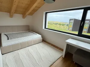 Prodej rodinného domu, Loučná pod Klínovcem, 180 m2