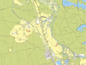 Prodej louky, Majdalena, 10797 m2