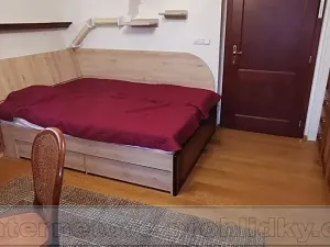Pronájem pokoje, Praha - Hostivař, Elišky Junkové, 18 m2