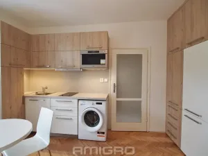 Pronájem bytu 1+kk, Brno, Obilní trh, 20 m2