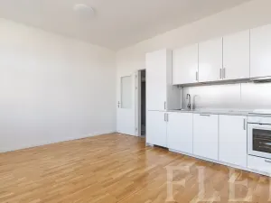 Pronájem bytu 1+kk, Praha - Karlín, Vítkova, 29 m2
