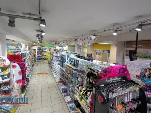 Pronájem obchodního prostoru, Frýdlant nad Ostravicí, Hlavní, 254 m2