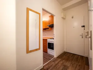 Prodej bytu 2+1, Brno, Čápkova, 59 m2