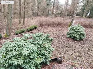 Prodej chaty, Vranov, 34 m2