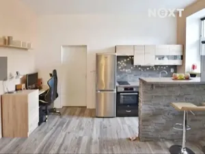 Pronájem bytu 1+kk, České Budějovice, K. V. Raise, 30 m2