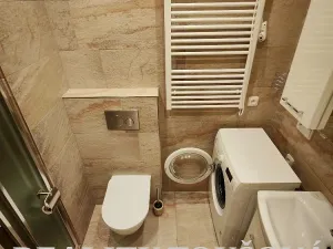 Pronájem bytu 3+kk, Plzeň - Jižní Předměstí, Alešova, 54 m2