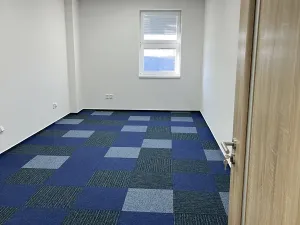 Pronájem kanceláře, Sedliště, 519 m2