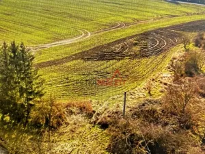 Prodej pozemku pro bydlení, Černíkovice, 2281 m2