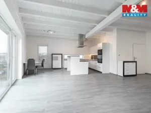 Pronájem bytu 3+kk, Ludgeřovice, Finské domky, 90 m2