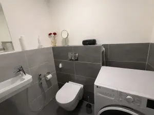 Prodej bytu 2+kk, Praha - Vysočany, Modrého, 53 m2