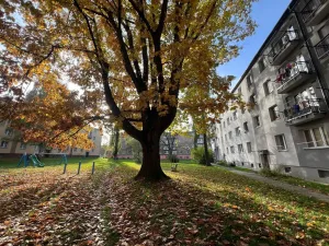 Pronájem bytu 1+kk, Ostrava - Zábřeh, Svazácká, 24 m2