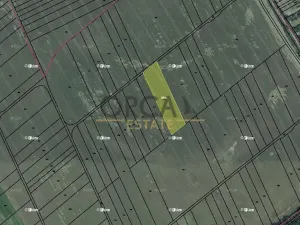 Prodej podílu pole, Kvasice, 1861 m2