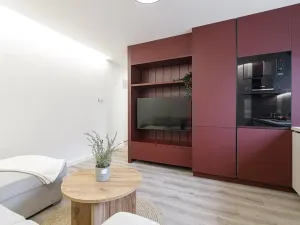 Prodej bytu 2+kk, Ostrava, Čujkovova, 29 m2