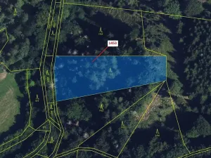 Dražba lesa, Vranová Lhota, 3122 m2