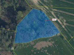 Dražba lesa, Březovice, 4432 m2