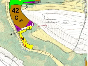 Dražba lesa, Březovice, 4432 m2